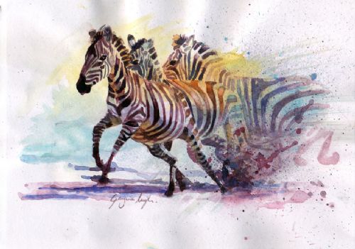 Explorers Against Extinction Zebras